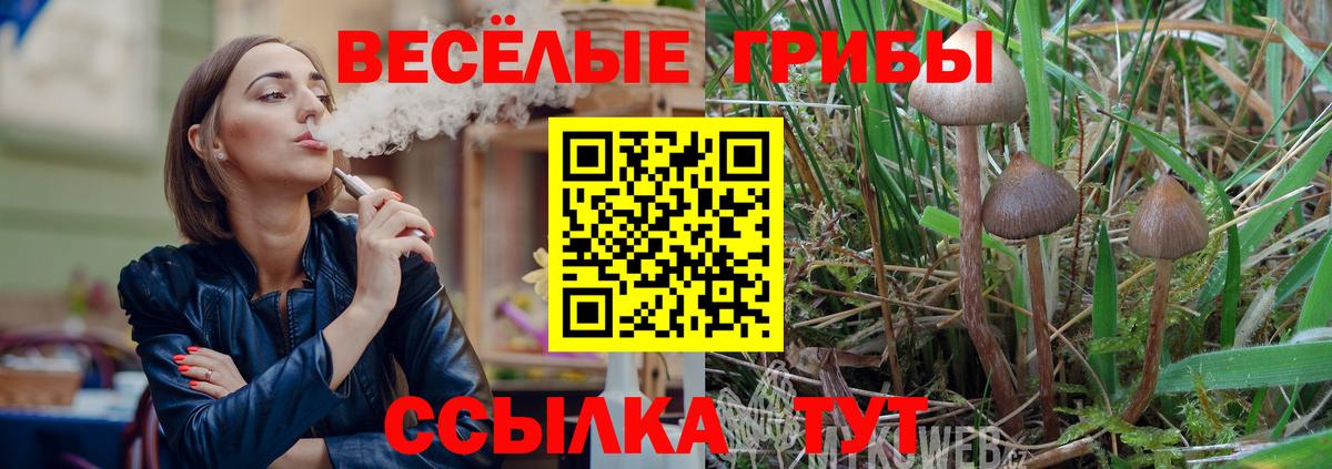 Псилоцибиновые грибы мухоморы Магадан